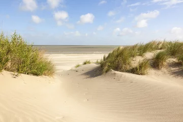 Rolgordijnen Duinen op het Noordzeestrand, Knokke, België © eyewave