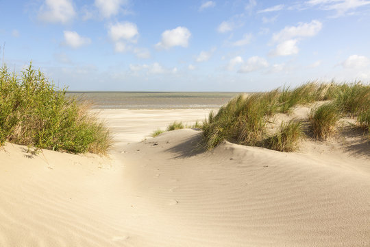 Aruba Sand Dunes - White Sand Dunes