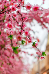 Close up of fake pink sakura flowers