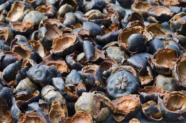 Mangosteen shell sunlight drying process