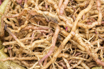 Pile of herb roots selling in the market
