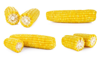 Corn on the cob kernels isolated Clipping Path