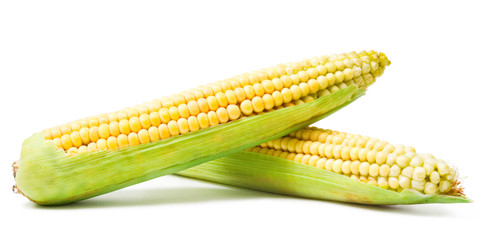 Corn