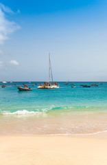 Obraz premium Santa Maria beach in Sal Island Cape Verde - Cabo Verde