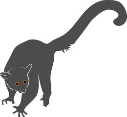 silhouette of bushbaby