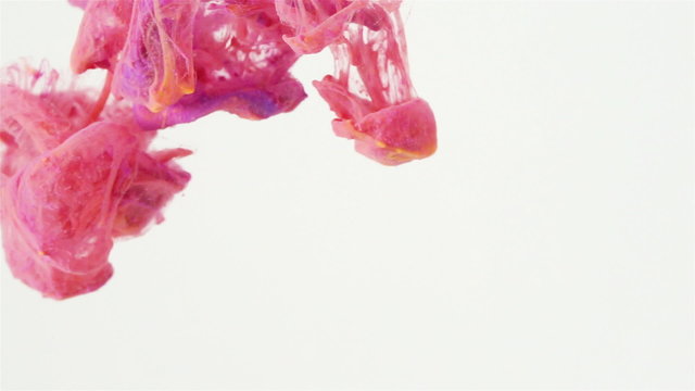 Pink, orange and Magenta Color paint flowing in water. Color jet of ink pigments  creates organic sculptures under water.