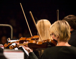 Symphony orchestra performing.