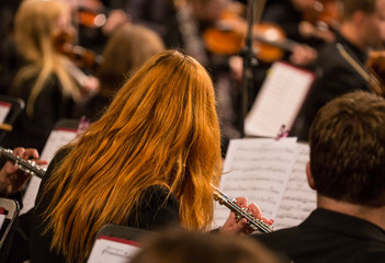 Symphony orchestra performing.