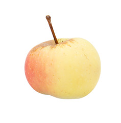 apple on a white background
