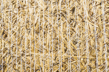 Closeup of hay