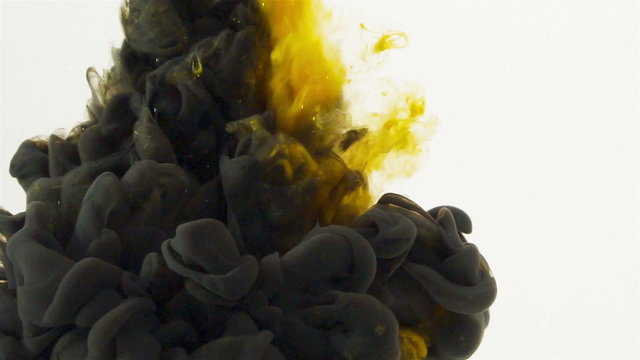 Black Color paint SLOWLY flowing in water. Suddenly a yellow and golden Color jet of ink pigments starts quickly dripping down and creates organic color smoke cloud that fills the underwater space.
