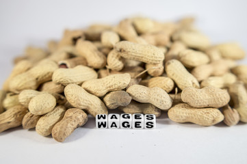 Wages text with peanuts