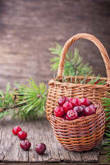 Fresh cranberries in a wicker basket on  dark wooden background