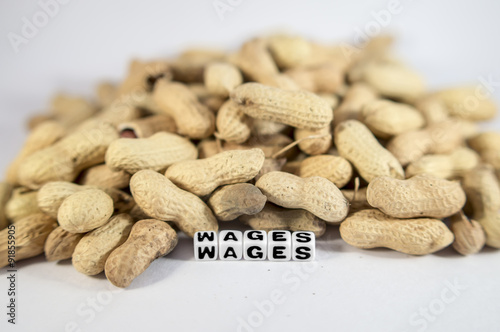 500_F_91855905_WuIEhhPu4mN1NMxVipZJCPPkT9dz4eCQ.jpg