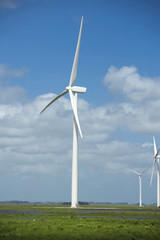 Green energy ecology windmill field sky background