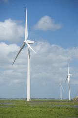 Fototapeta premium Green energy ecology windmill field sky background