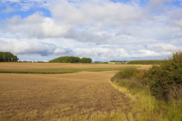 wooded agricultural landscape