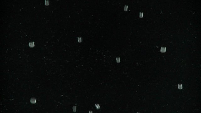 Tiny air bubbles float up against a black back-ground.