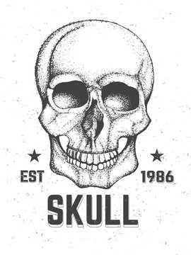 Hand Drawn Human Skull. Artistic Graphic Concept. Vector Illustration.
