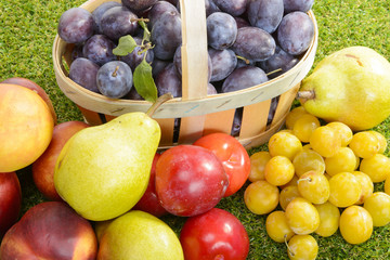 plums in a basket with several fruits on the grass