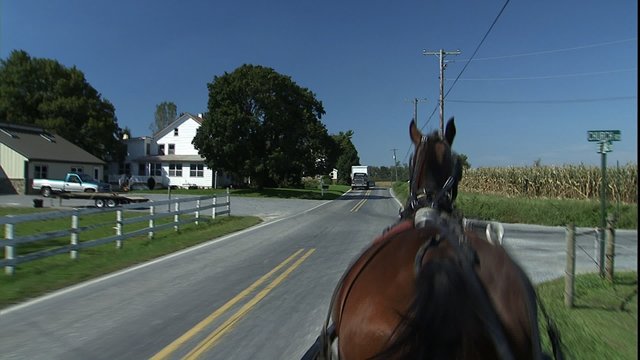 POV Amish buggy ride in the country