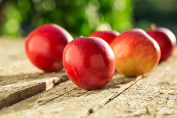 Apples on wooden table over summer bokeh background