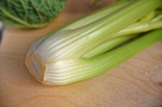 Green fresh stem of celery closeup