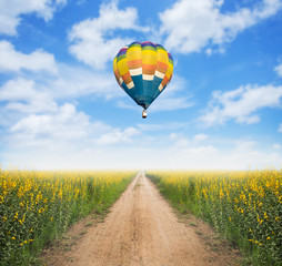 Hot air balloon above dirt road into yellow flower fields