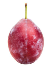 red plum