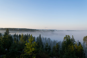 a carpet of fog