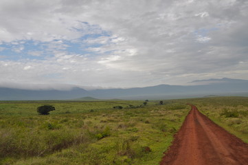 Route de terre, Tanzanie, savane