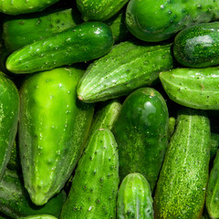cucumbers