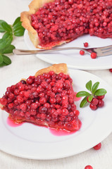 Portion of cowberry pie on white plate