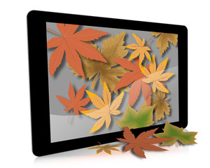 Digital Tablet With Fall Leaves