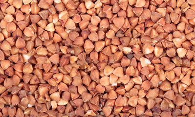 Buckwheat
