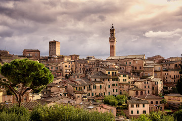 Fototapeta premium Siena