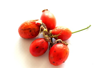 Dried rose hips