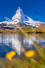 Photo sur Plexiglas Cervin Matterhorn with relfection in StelliSee against flowers, Zermatt, Switzerland