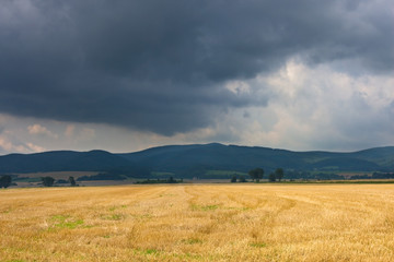 Field landscape during a stormy weather.