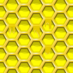 Соты с мёдом