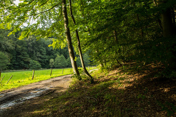 Fototapeta premium Beautiful scenery prospects around Rursee