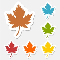 Maple leaf set sticker