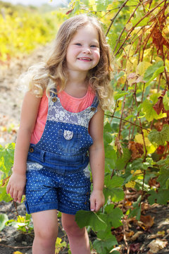 Blonde pretty child girl in autumn vineyard