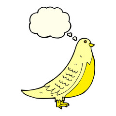 cartoon bird with thought bubble