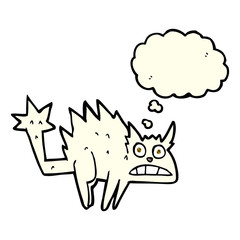 cartoon frightened cat with thought bubble