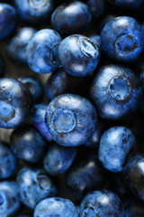 Heap of tasty ripe blueberries close up