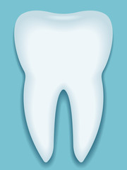 Tooth