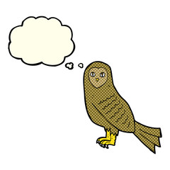 cartoon owl with thought bubble