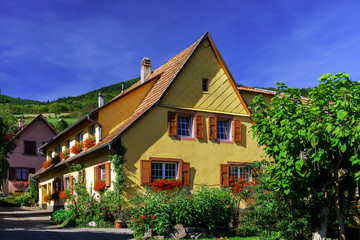 Fototapeta na wymiar Old alsacien house in small village