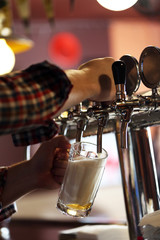 Bartender is pouring beer into glass